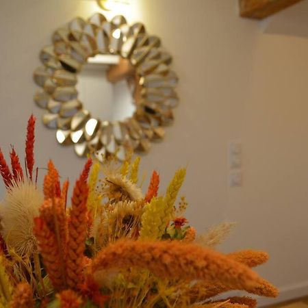Charmant Appartement - Proche Chateau Cite Carcassonne Luaran gambar