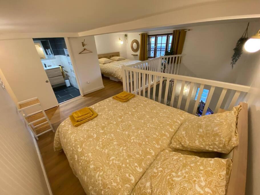 Charmant Appartement - Proche Chateau Cite Carcassonne Luaran gambar