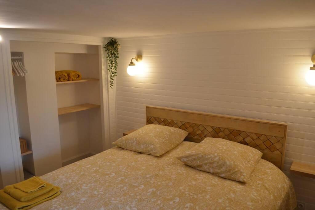 Charmant Appartement - Proche Chateau Cite Carcassonne Luaran gambar