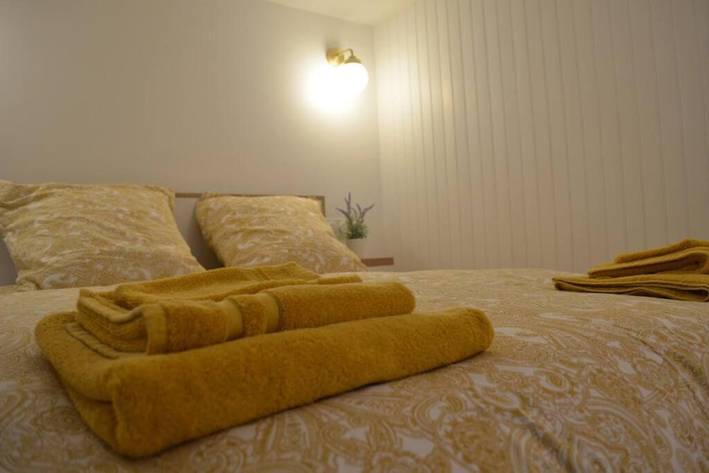 Charmant Appartement - Proche Chateau Cite Carcassonne Luaran gambar