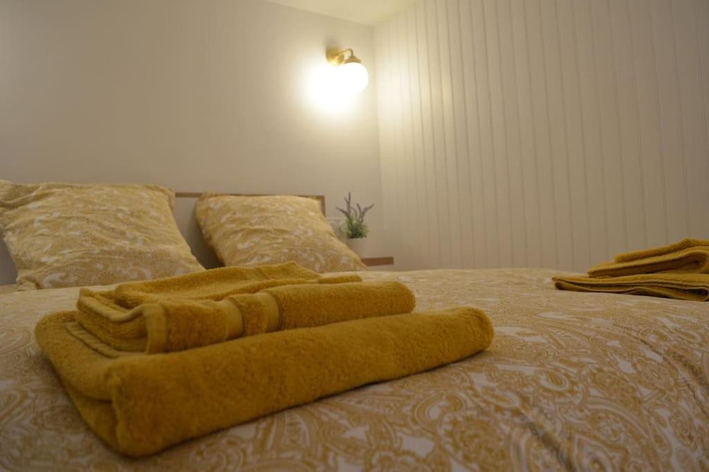 Charmant Appartement - Proche Chateau Cite Carcassonne Luaran gambar